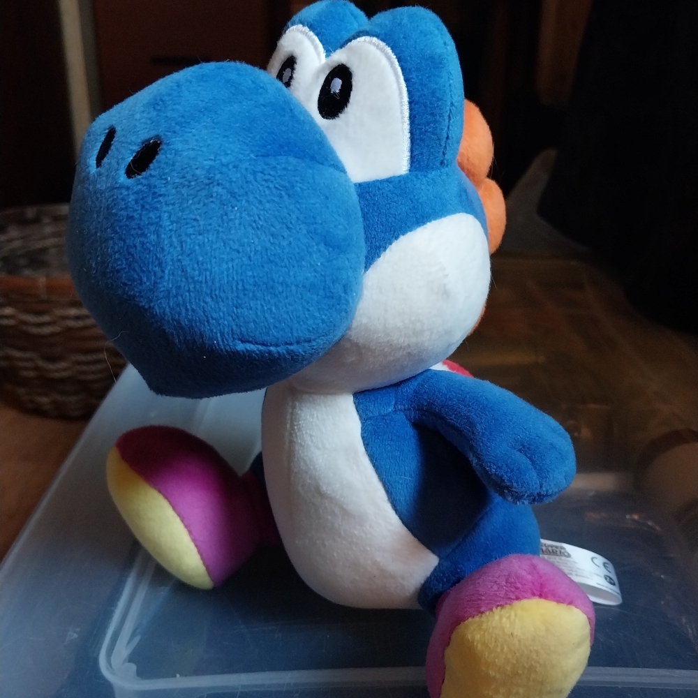 Dk Blue Yoshi